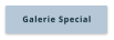 Galerie Special